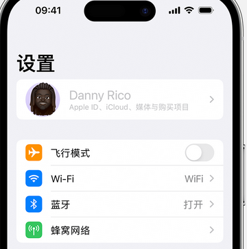 海尾镇appleID维修服务iPhone设置中Apple ID显示为灰色无法使用 