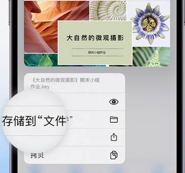 海尾镇apple维修中心分享iPhone文件应用中存储和找到下载文件