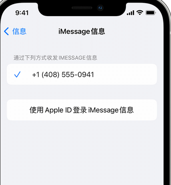 海尾镇apple维修iPhone上无法正常发送iMessage信息 