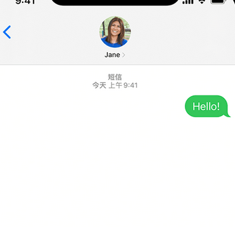 海尾镇apple维修iPhone上无法正常发送iMessage信息