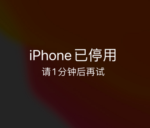 海尾镇苹果手机维修分享:iPhone 显示“不可用”或“已停用”怎么办？还能保留数据吗？ 