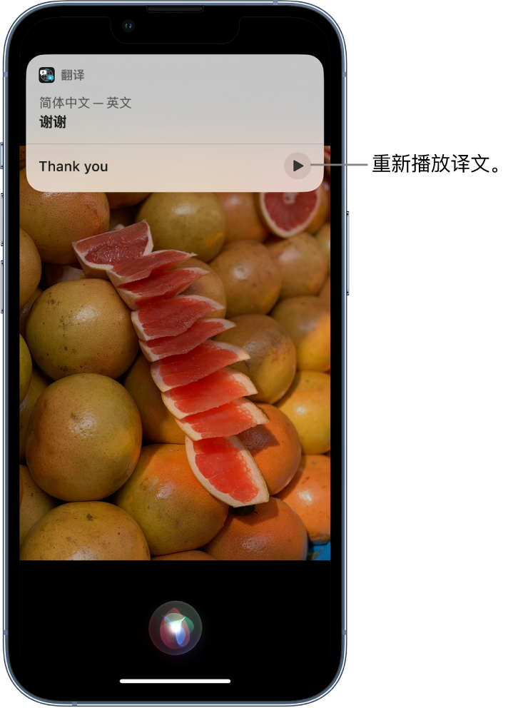 海尾镇苹果14维修分享 iPhone 14 机型中使用 Siri：了解 Siri 能帮你做什么 