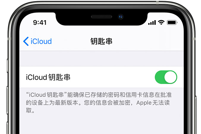 海尾镇苹果手机维修分享在 iPhone 上开启 iCloud 钥匙串之后会储存哪些信息 