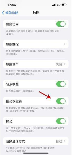 海尾镇苹果手机维修分享iPhone手机如何设置摇一摇删除文字 